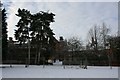 Hospital behind the trees