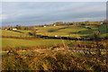 Farmland overlooking A25 Finnard Road