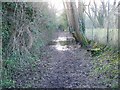 Footpath to Croucheston