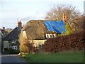 A patch on the thatch, Chilmark