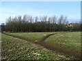 Intersection of field trails, near Brownsover