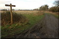 Footpath to Bretforton