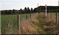 Footpath towards Furzen Hill Farm