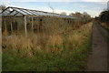 Old greenhouses near Badsey