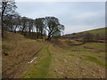 Old quarry workings