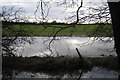 Waterlogged field near Stone House Farm