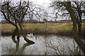 Full pond near Furzen Hill Cottages