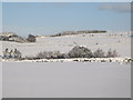 Snowy pastures near Lonkley Head (3)