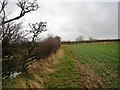 Footpath near Barley Hill