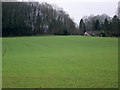 Footpath, West Dean