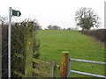 Field & Footpath, Stocia Farm