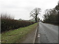 King Street At Ravenscroft Hall