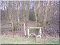 Stile near Little Ruck Wood