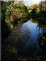 New River Walk reflections