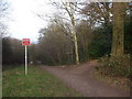 The footpath forks, Nant Fawr, Cardiff