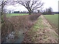 The River Beult near Fleeden Farm