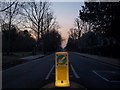 A Bollard illuminates Putney Heath Road