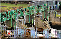 J3470 : The Stranmillis weir, Belfast (7) by Albert Bridge