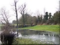 Flooded field, Bowerchalke