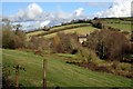 The Ayleston Brook Valley