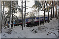 Derailed locomotive at Carrbridge