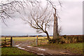 Bridleway gate and dead tree near Calcutt Spinney