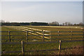 Paddocks near Hightown Green