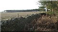 Farmland, Brockholes