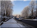 Nithsdale Road, Pollokshields