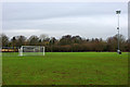 Lingfield F.C. pitch