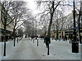 Winter Promenade