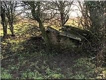 NS3976 : Structure associated with WWII gun emplacements by Lairich Rig