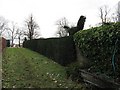 Topiary hedge at Frith Lodge