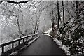 Snowy lane to Clydach