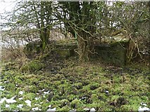 NS3977 : Structure associated with WWII gun emplacements by Lairich Rig