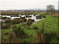 Flooded meadow near Wareham