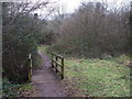 Footpath amongst bushes, Pentwyn, Cardiff