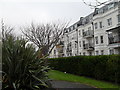 Houses in The Steyne as seen from Steyne Gardens (2)