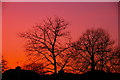TQ2995 : Amazing Sunset, London N14 by Christine Matthews