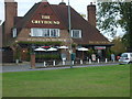 The Greyhound