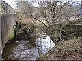 River Roch, bridge at Roch Valley Way