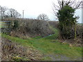 Green lane and footpath