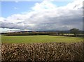 Fields North of Kineton