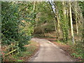 Toadpit Lane heading towards the Ottery St Mary road