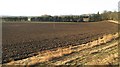 Ploughed field, Baledgarno