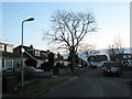 Winter trees in Merton Avenue