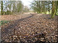 LNER Trackbed