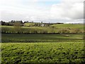 Coolesker Townland