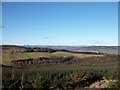 View from Binn Hill