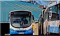 Bus, Banbridge (2)